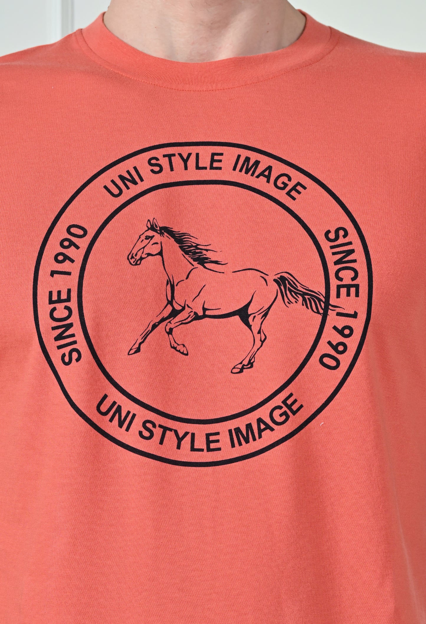 USI Crew neck graphic tee | Horse mentality #2