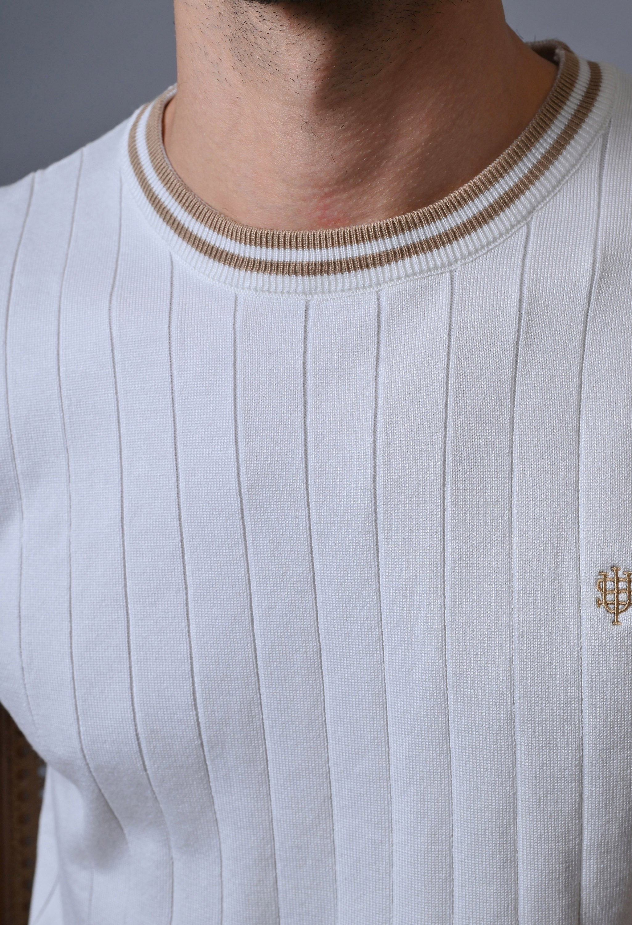 Classic Striped T-shirt with Tipping for Men